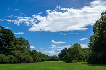 夏最後の都心の公園