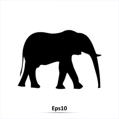 Elephant icon. Vector silhouette illustration isolated on white background. EPS10