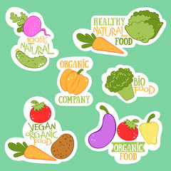Fresh organic vegetables lettering. Vegan theme. Potatoes, cucumber, tomato, broccoli, eggplant, salad, radish, pumpkin, carrot, pepper. Isolated vector objects.