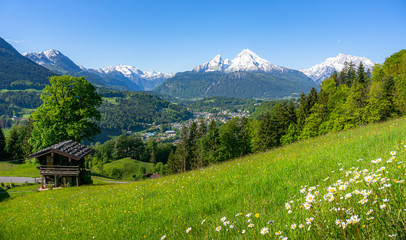 Fototapeta premium Classic panoramic view of idyllic mountain landscape in Bavarian Alps with beautiful colourful flowers and famous snow-capped Watzmann in spring, Nationalpark Berchtesgadener Land, Bavaria, Germany