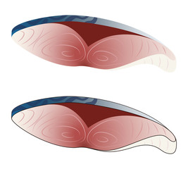 鯖の切り身 ベクター イラスト