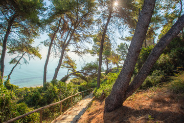 Fototapeta na wymiar Beautiful amazing sunny landscape and wooden steps down to perfect beach. Way to tourists paradise concept. Horizontal color photography.