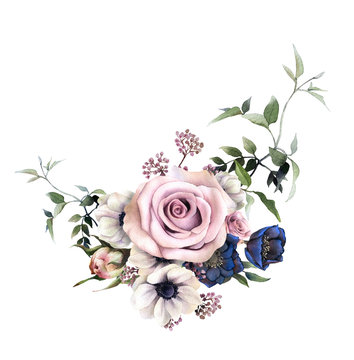 Floral arrangement of the anemones, pink roses, dark hellebores, herbs and clematis branches hand drawn in watercolor isolated on a white background. Floral watercolor illustration.