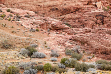 View of red rock canyon national park in Foggy day at nevada,USA.