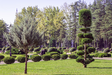 Decorative botanical garden on site of the Dadiani Palace - the residence of an ancient family of...