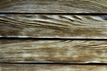 Fototapeta premium Old boards with pronounced wood texture.