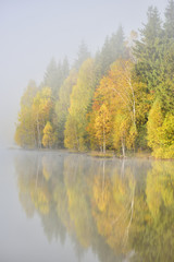 Autumn landscape in the mountains with trees reflecting in the water at St. Ana's lake, Romania