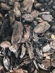 pile of firewood