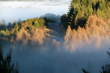 Carretera entre laniebla al amanecer