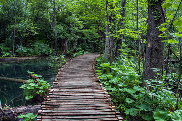 camino de madera sobre lago