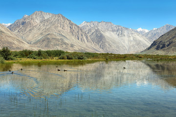 Lake and Mountains in Nubra Valley, Ladakh, India