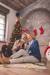 Senior couple making a toast with glasses of wine on Christmas day