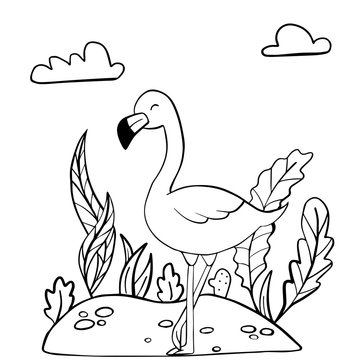  vector illustration of a black and white drawing flamingo coloring book