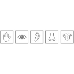 five sense icon vector design symbol