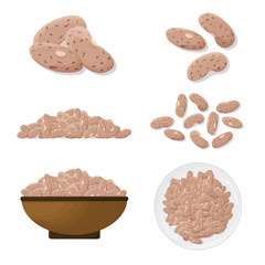 Pinto beans illustration. Vector.