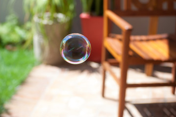 soap ball between furniture and plants