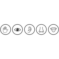 five sense icon vector design symbol