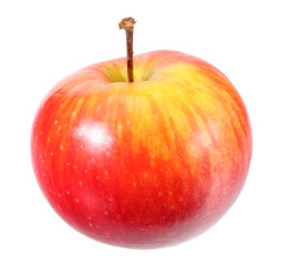 one red apple isolated on white background