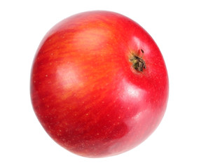 one red apple isolated on white background