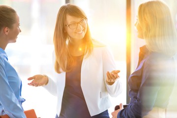 Businesswomen planning strategy during meeting against window at office