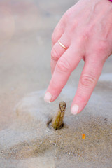 picking up razors on the beach in northern France