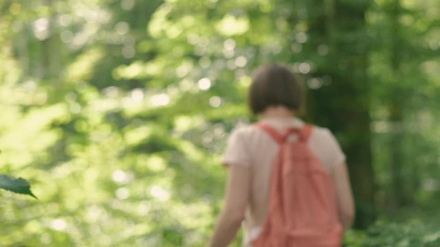 Female hiker lost in forest disappearing in woods
