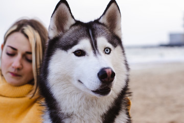 Young beautiful woman in yellow pullover sweater plays with a dog (grey and white husky) on the beach