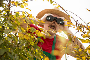 Nachbar schaut mit Feldstecher über die Hecke