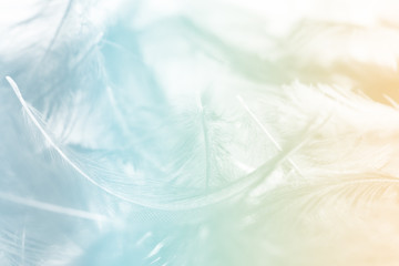 Verschwommene Pastellfederunschärfe, Pastellfarben werden in Federn simuliert © Nui