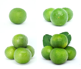 The Collection of Green Fresh lime. green lemon isolated on white background.