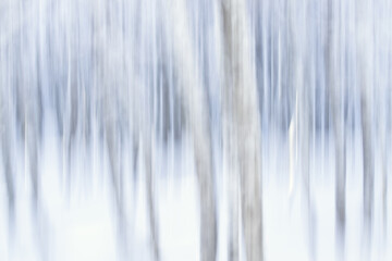 Motion blur dreamy forest in winter with snow