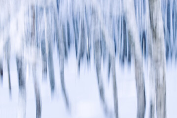 Motion blur dreamy forest in winter with snow
