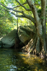 cascada de la media luna