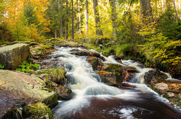Herbstlicher Bachlauf