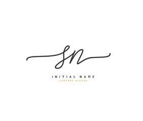 S N SN Beauty vector initial logo, handwriting logo of initial signature, wedding, fashion, jewerly, boutique, floral and botanical with creative template for any company or business.