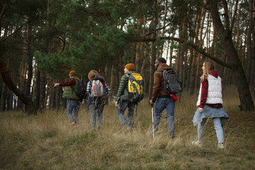 Group of friends on a camping or hiking trip in autumn day. Men and women with touristic backpacks...