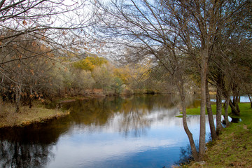 Fototapeta na wymiar Autumnal landscape by the river