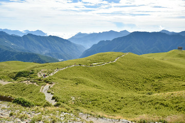 Beautiful alpine meadow and wildflowers in Mount Hehuan