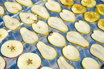 the process of drying apples and pears. harvesting of dried fruits for the winter