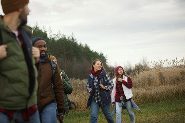 Group of friends on a camping or hiking trip in autumn day. Men and women with touristic backpacks going throught the forest, talking, laughting. Leisure activity, friendship, weekend.