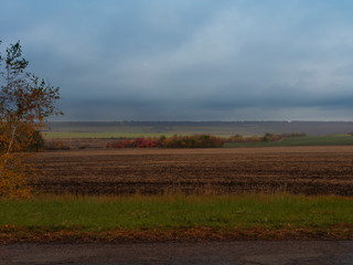 Fototapeta na wymiar Autumn rural landscape. Bright autumn vegetation. The sky before the rain with low clouds.