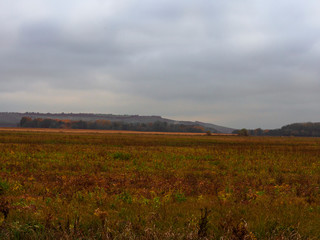 Obraz premium Autumn rural landscape. Bright autumn vegetation. The sky before the rain with low clouds.