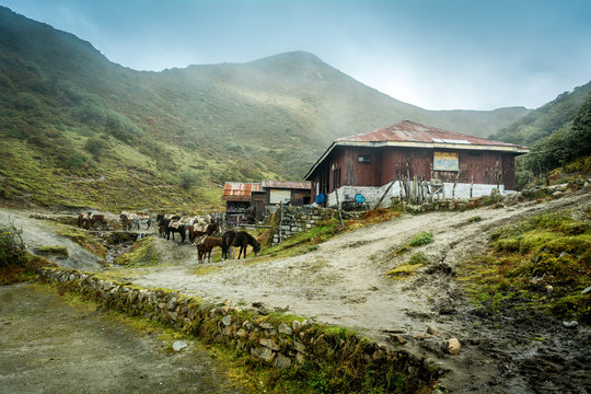 Dzongri Campsite, Sikkim, India