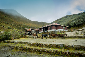 Dzongri campsite, Sikkim, India