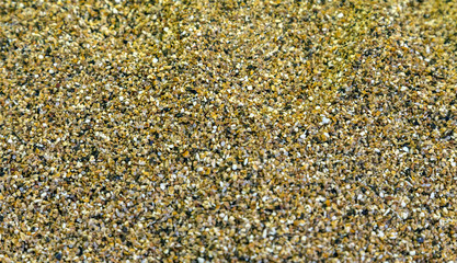 Colorful Spice and herbs background