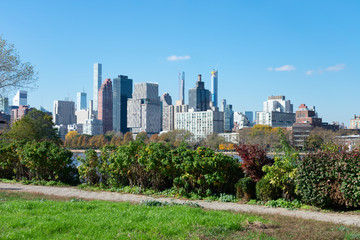 Shoreline of Astoria Queens New York with Plants looking towards the East River and the Manhattan and Roosevelt Island Skyline in the background