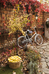 Fototapeta na wymiar Bicycle on the yard of french house in autumn.