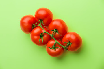  tomatoes branch on green background