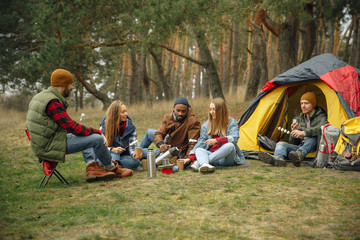 Group of friends on a camping or hiking trip in autumn day. Men and women with touristic backpacks having break in the forest, talking, laughting. Leisure activity, friendship, weekend. Eat and drink. - obrazy, fototapety, plakaty