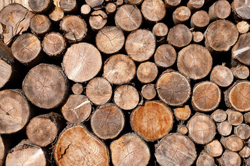 Gestapelte Baumstämme in unterschiedlichen Größen